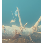 Dezagatator de naluci SAVE a LURE by ASAVAfishing