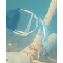 Dezagatator de naluci SAVE a LURE by ASAVAfishing